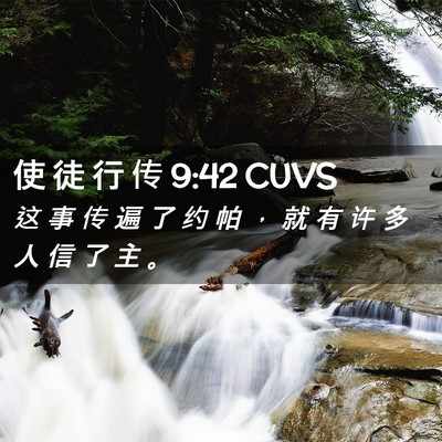 Picture 02 - 使 徒 行 传 9:42 CUVS - 这 事 传 遍 了 约 帕 ， 就 有 许 多 - Bible Verse Picture