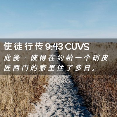 Picture 02 - 使 徒 行 传 9:43 CUVS - 此 後 ， 彼 得 在 约 帕 一 个 硝 皮 - Bible Verse Picture