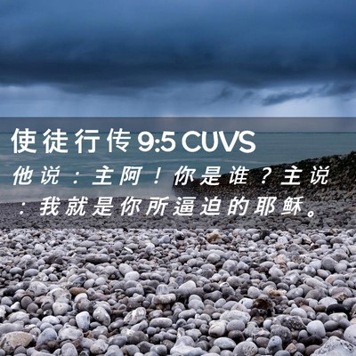 Picture 02 - 使 徒 行 传 9:5 CUVS - 他 说 ： 主 阿 ！ 你 是 谁 ？ 主 说 - Bible Verse Picture