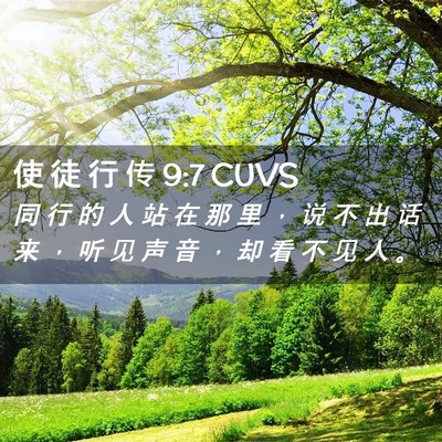 Picture 02 - 使 徒 行 传 9:7 CUVS - 同 行 的 人 站 在 那 里 ， 说 不 出 - Bible Verse Picture