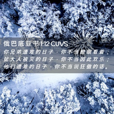Picture 02 - 俄 巴 底 亚 书 1:12 CUVS - 你 兄 弟 遭 难 的 日 子 ， 你 不 当 - Bible Verse Picture