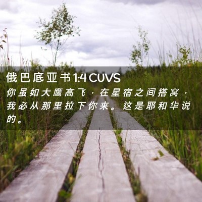 Picture 02 - 俄 巴 底 亚 书 1:4 CUVS - 你 虽 如 大 鹰 高 飞 ， 在 星 宿 之 - Bible Verse Picture