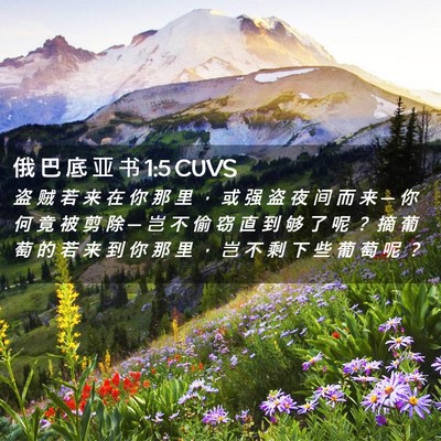 Picture 02 - 俄 巴 底 亚 书 1:5 CUVS - 盗 贼 若 来 在 你 那 里 ， 或 强 盗 - Bible Verse Picture