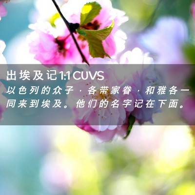 Picture 02 - 出 埃 及 记 1:1 CUVS - 以 色 列 的 众 子 ， 各 带 家 眷 ， - Bible Verse Picture