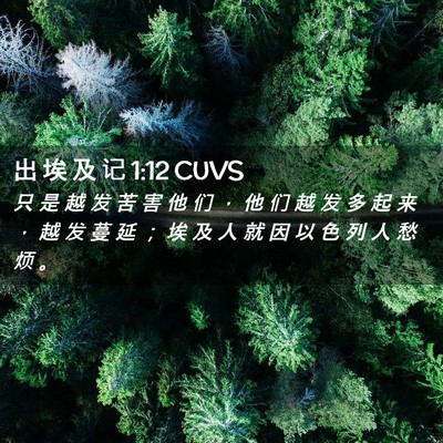 Picture 02 - 出 埃 及 记 1:12 CUVS - 只 是 越 发 苦 害 他 们 ， 他 们 越 - Bible Verse Picture