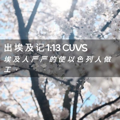 Picture 02 - 出 埃 及 记 1:13 CUVS - 埃 及 人 严 严 的 使 以 色 列 人 做 - Bible Verse Picture