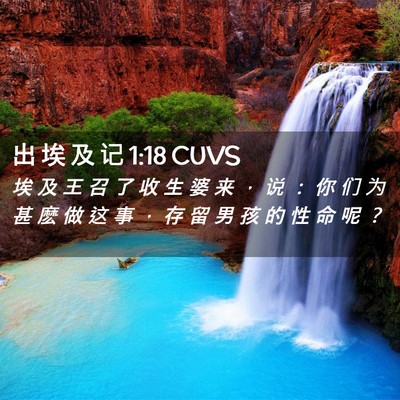 Picture 02 - 出 埃 及 记 1:18 CUVS - 埃 及 王 召 了 收 生 婆 来 ， 说 ： - Bible Verse Picture