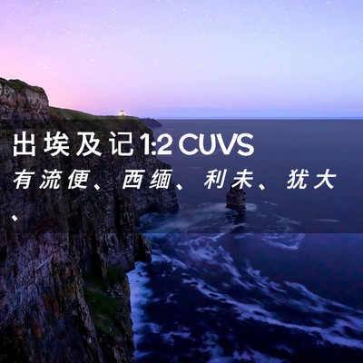 Picture 02 - 出 埃 及 记 1:2 CUVS - 有 流 便 、 西 缅 、 利 未 、 犹 大 - Bible Verse Picture