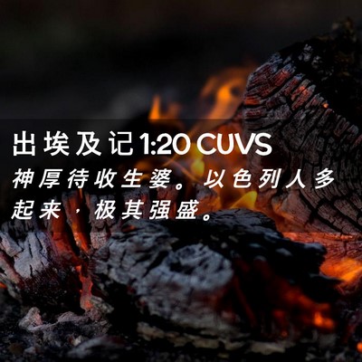 Picture 02 - 出 埃 及 记 1:20 CUVS - 神 厚 待 收 生 婆 。 以 色 列 人 多 - Bible Verse Picture
