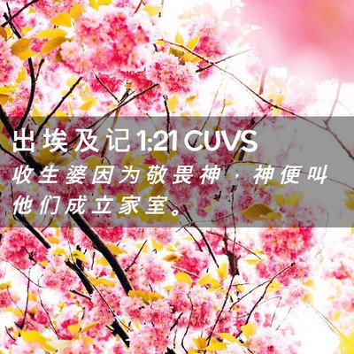Picture 02 - 出 埃 及 记 1:21 CUVS - 收 生 婆 因 为 敬 畏 神 ， 神 便 叫 - Bible Verse Picture