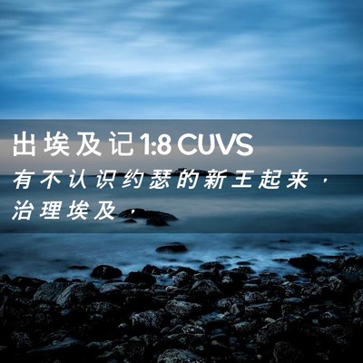 Picture 02 - 出 埃 及 记 1:8 CUVS - 有 不 认 识 约 瑟 的 新 王 起 来 ， - Bible Verse Picture