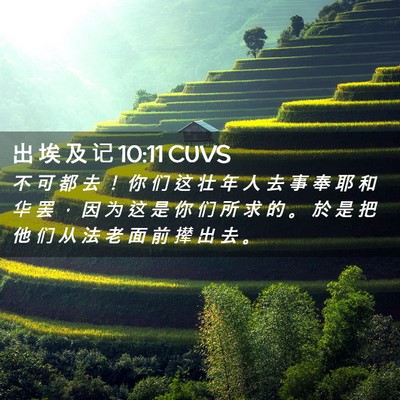 Picture 02 - 出 埃 及 记 10:11 CUVS - 不 可 都 去 ！ 你 们 这 壮 年 人 去 - Bible Verse Picture