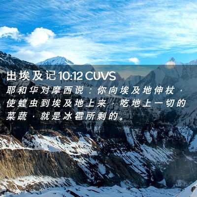 Picture 02 - 出 埃 及 记 10:12 CUVS - 耶 和 华 对 摩 西 说 ： 你 向 埃 及 - Bible Verse Picture