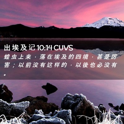 Picture 02 - 出 埃 及 记 10:14 CUVS - 蝗 虫 上 来 ， 落 在 埃 及 的 四 境 - Bible Verse Picture