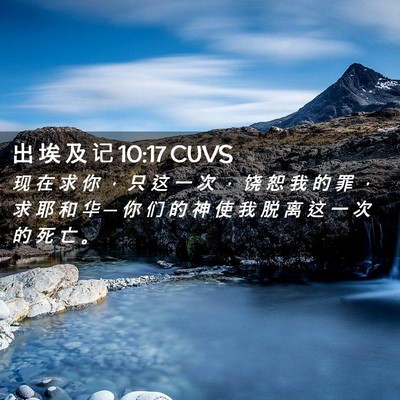 Picture 02 - 出 埃 及 记 10:17 CUVS - 现 在 求 你 ， 只 这 一 次 ， 饶 恕 - Bible Verse Picture