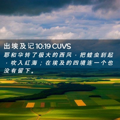 Picture 02 - 出 埃 及 记 10:19 CUVS - 耶 和 华 转 了 极 大 的 西 风 ， 把 - Bible Verse Picture