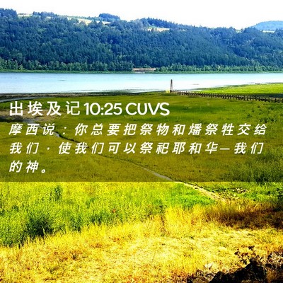 Picture 02 - 出 埃 及 记 10:25 CUVS - 摩 西 说 ： 你 总 要 把 祭 物 和 燔 - Bible Verse Picture