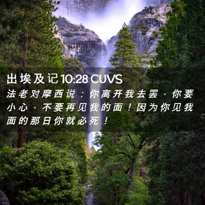 Picture 02 - 出 埃 及 记 10:28 CUVS - 法 老 对 摩 西 说 ： 你 离 开 我 去 - Bible Verse Picture