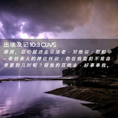 Picture 02 - 出 埃 及 记 10:3 CUVS - 摩 西 、 亚 伦 就 进 去 见 法 老 ， - Bible Verse Picture