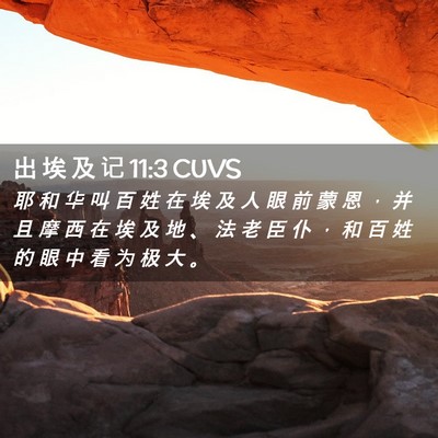 Picture 02 - 出 埃 及 记 11:3 CUVS - 耶 和 华 叫 百 姓 在 埃 及 人 眼 前 - Bible Verse Picture