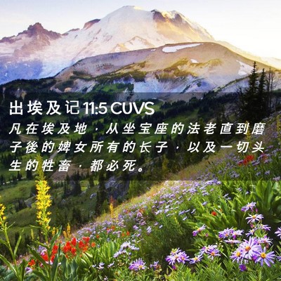 Picture 02 - 出 埃 及 记 11:5 CUVS - 凡 在 埃 及 地 ， 从 坐 宝 座 的 法 - Bible Verse Picture