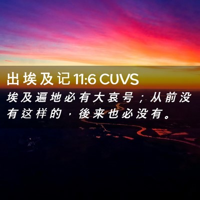 Picture 02 - 出 埃 及 记 11:6 CUVS - 埃 及 遍 地 必 有 大 哀 号 ； 从 前 - Bible Verse Picture