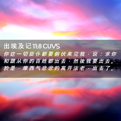 Picture 02 - 出 埃 及 记 11:8 CUVS - 你 这 一 切 臣 仆 都 要 俯 伏 来 见 - Bible Verse Picture