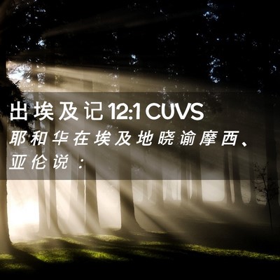 Picture 02 - 出 埃 及 记 12:1 CUVS - 耶 和 华 在 埃 及 地 晓 谕 摩 西 、 - Bible Verse Picture