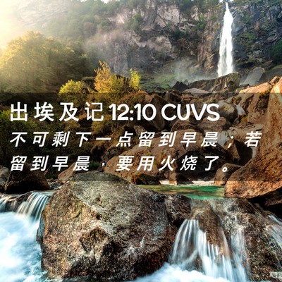 Picture 02 - 出 埃 及 记 12:10 CUVS - 不 可 剩 下 一 点 留 到 早 晨 ； 若 - Bible Verse Picture