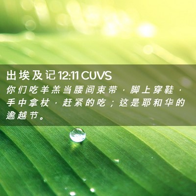Picture 02 - 出 埃 及 记 12:11 CUVS - 你 们 吃 羊 羔 当 腰 间 束 带 ， 脚 - Bible Verse Picture