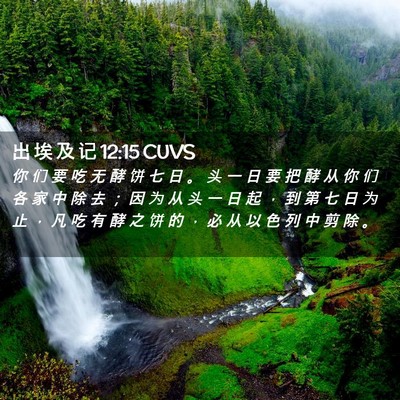 Picture 02 - 出 埃 及 记 12:15 CUVS - 你 们 要 吃 无 酵 饼 七 日 。 头 一 - Bible Verse Picture