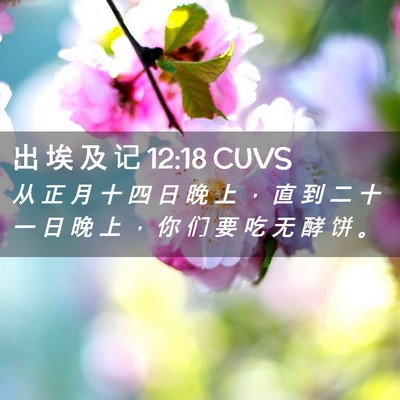 Picture 02 - 出 埃 及 记 12:18 CUVS - 从 正 月 十 四 日 晚 上 ， 直 到 二 - Bible Verse Picture