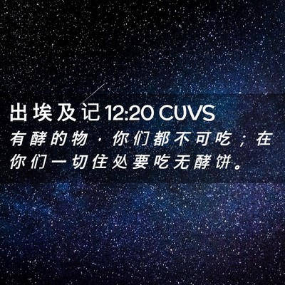 Picture 02 - 出 埃 及 记 12:20 CUVS - 有 酵 的 物 ， 你 们 都 不 可 吃 ； - Bible Verse Picture