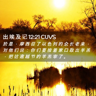 Picture 02 - 出 埃 及 记 12:21 CUVS - 於 是 ， 摩 西 召 了 以 色 列 的 众 - Bible Verse Picture