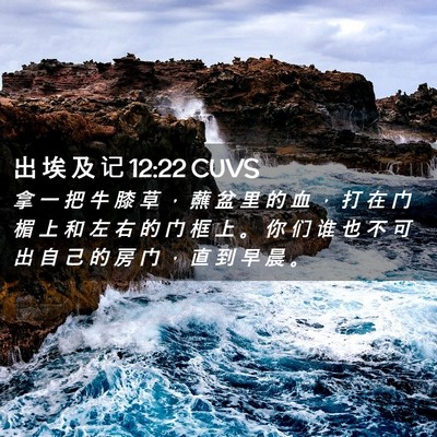 Picture 02 - 出 埃 及 记 12:22 CUVS - 拿 一 把 牛 膝 草 ， 蘸 盆 里 的 血 - Bible Verse Picture
