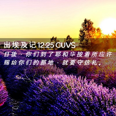 Picture 02 - 出 埃 及 记 12:25 CUVS - 日 後 ， 你 们 到 了 耶 和 华 按 着 - Bible Verse Picture