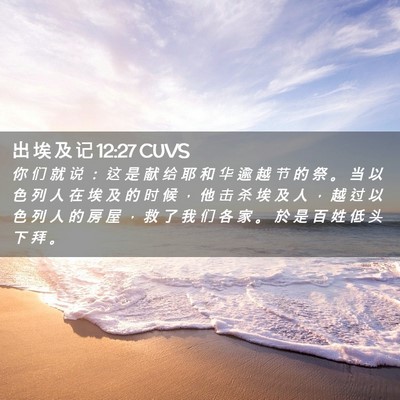 Picture 02 - 出 埃 及 记 12:27 CUVS - 你 们 就 说 ： 这 是 献 给 耶 和 华 - Bible Verse Picture