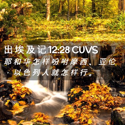 Picture 02 - 出 埃 及 记 12:28 CUVS - 耶 和 华 怎 样 吩 咐 摩 西 、 亚 伦 - Bible Verse Picture