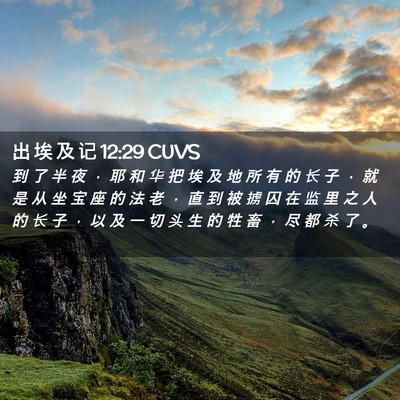 Picture 02 - 出 埃 及 记 12:29 CUVS - 到 了 半 夜 ， 耶 和 华 把 埃 及 地 - Bible Verse Picture