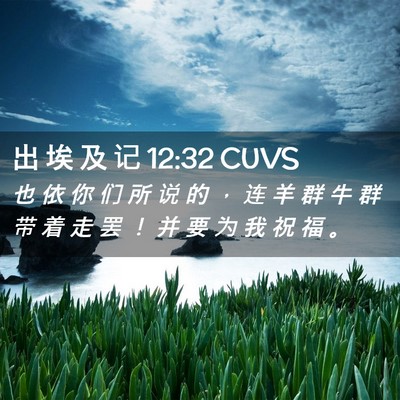 Picture 02 - 出 埃 及 记 12:32 CUVS - 也 依 你 们 所 说 的 ， 连 羊 群 牛 - Bible Verse Picture