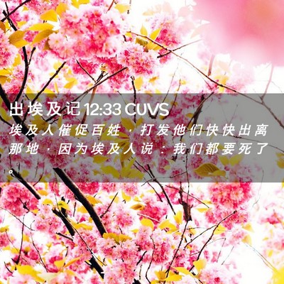 Picture 02 - 出 埃 及 记 12:33 CUVS - 埃 及 人 催 促 百 姓 ， 打 发 他 们 - Bible Verse Picture