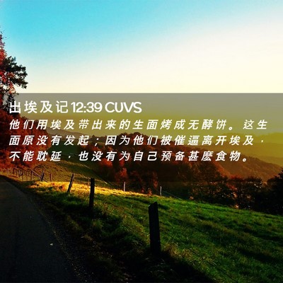 Picture 02 - 出 埃 及 记 12:39 CUVS - 他 们 用 埃 及 带 出 来 的 生 面 烤 - Bible Verse Picture