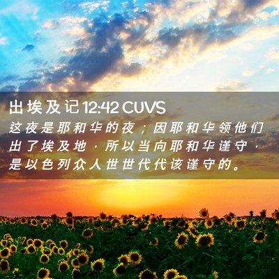 Picture 02 - 出 埃 及 记 12:42 CUVS - 这 夜 是 耶 和 华 的 夜 ； 因 耶 和 - Bible Verse Picture