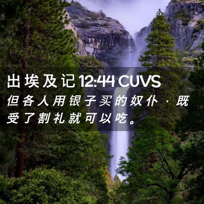 Picture 02 - 出 埃 及 记 12:44 CUVS - 但 各 人 用 银 子 买 的 奴 仆 ， 既 - Bible Verse Picture