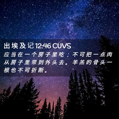 Picture 02 - 出 埃 及 记 12:46 CUVS - 应 当 在 一 个 房 子 里 吃 ； 不 可 - Bible Verse Picture