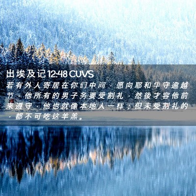 Picture 02 - 出 埃 及 记 12:48 CUVS - 若 有 外 人 寄 居 在 你 们 中 间 ， - Bible Verse Picture