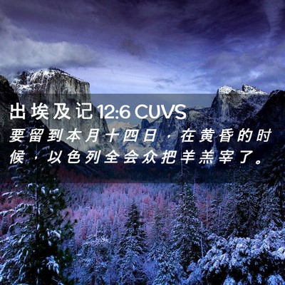 Picture 02 - 出 埃 及 记 12:6 CUVS - 要 留 到 本 月 十 四 日 ， 在 黄 昏 - Bible Verse Picture