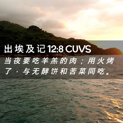 Picture 02 - 出 埃 及 记 12:8 CUVS - 当 夜 要 吃 羊 羔 的 肉 ； 用 火 烤 - Bible Verse Picture
