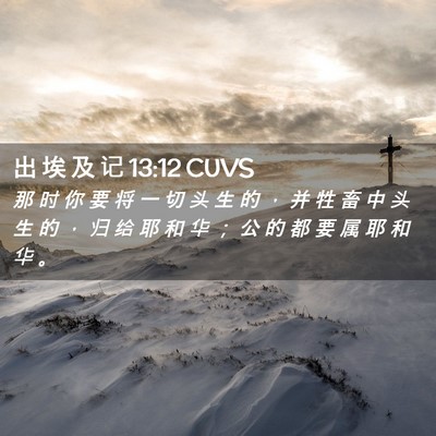 Picture 02 - 出 埃 及 记 13:12 CUVS - 那 时 你 要 将 一 切 头 生 的 ， 并 - Bible Verse Picture