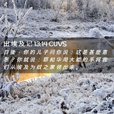 Picture 02 - 出 埃 及 记 13:14 CUVS - 日 後 ， 你 的 儿 子 问 你 说 ： 这 - Bible Verse Picture